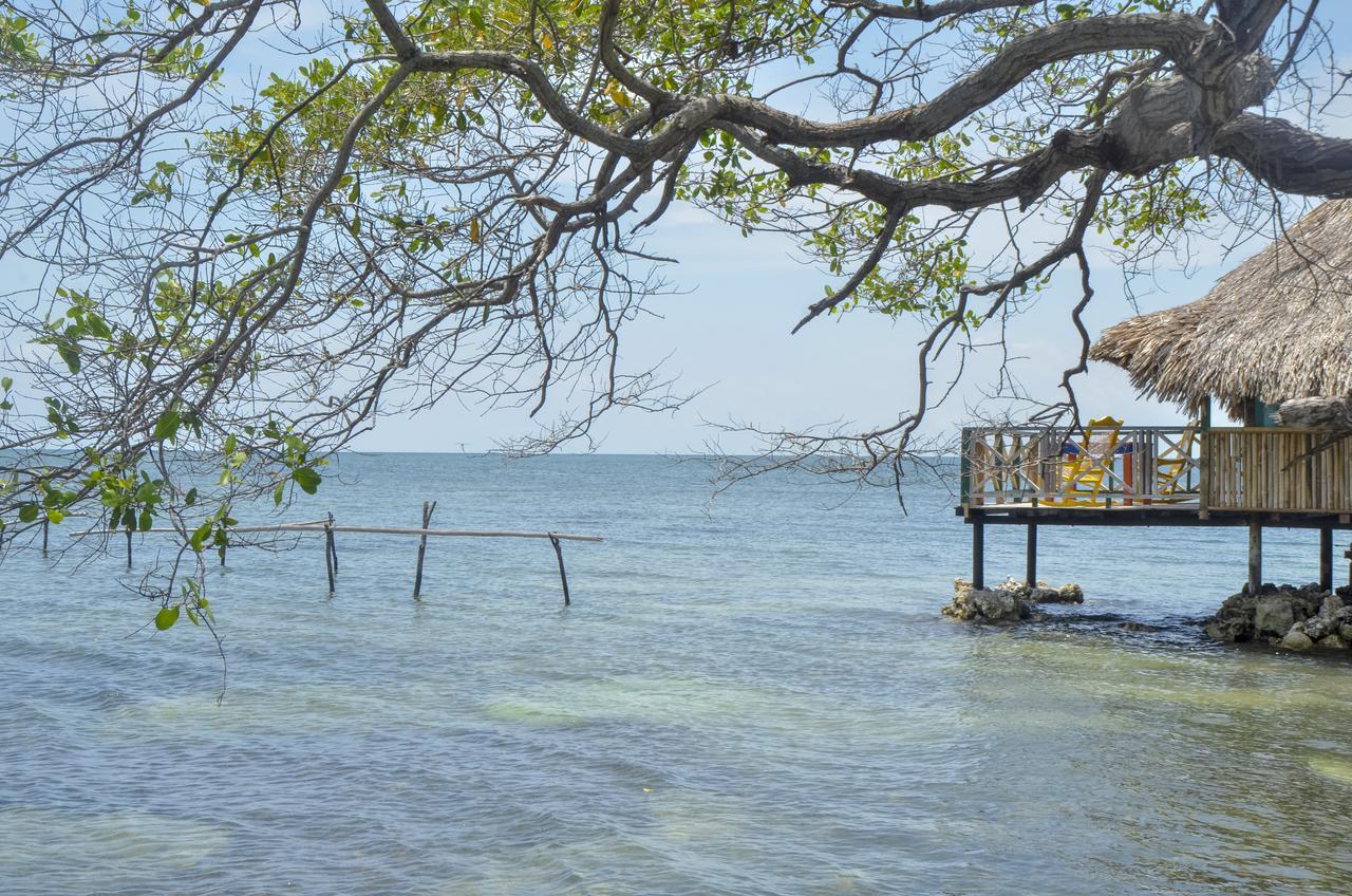 Hotel Puntanorte Tintipan Island Extérieur photo